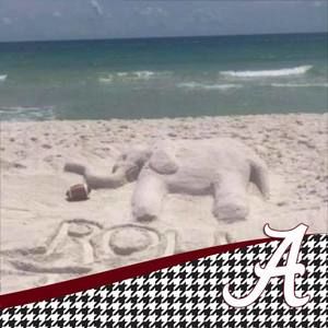 Meet your Posher, Norma